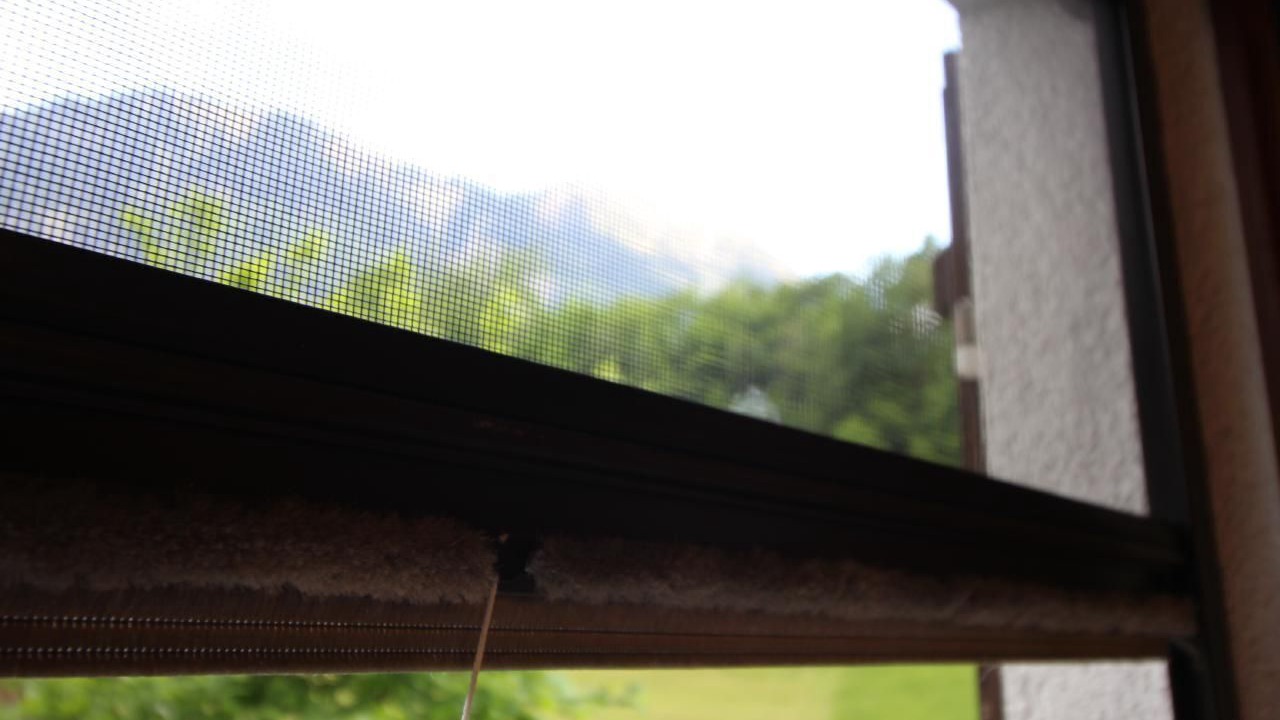 Photo of Others in Lungern