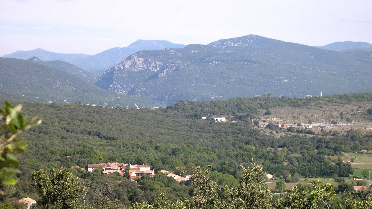 Photo of Outdoor in Brissac