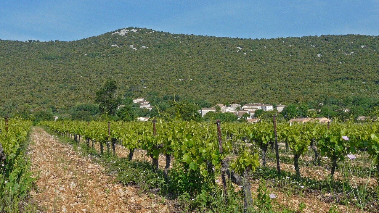 Photo of Outdoor in Brissac