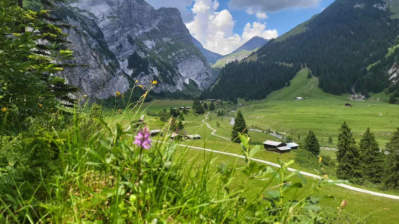 Photo of Others in Laax