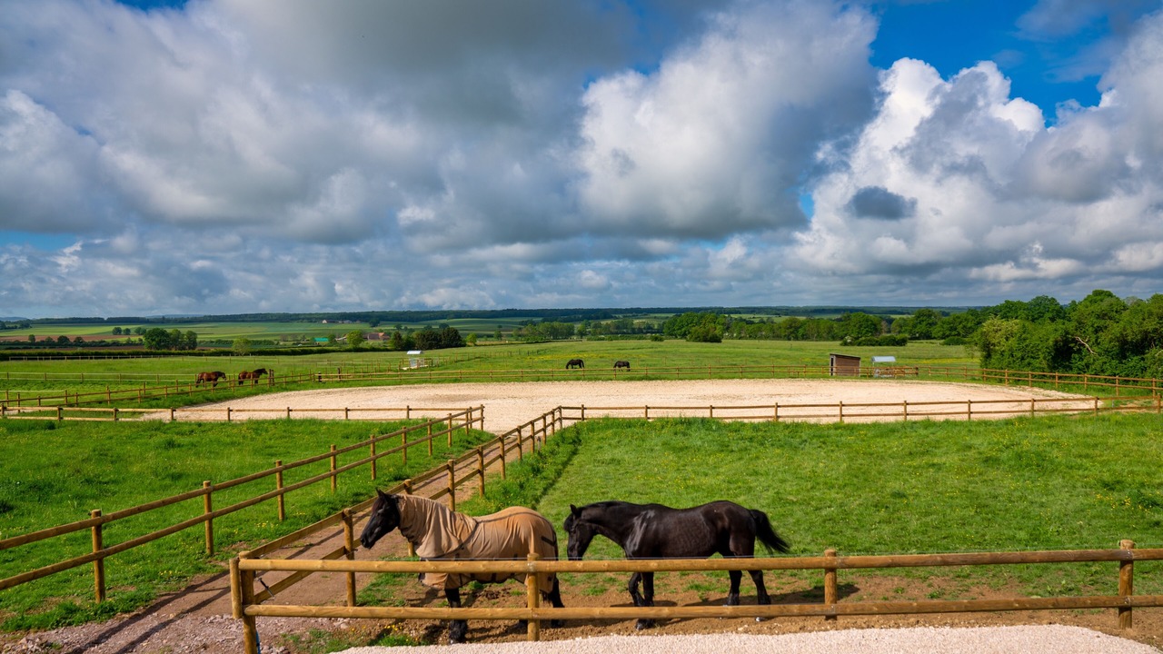 Photo of Others in Souhey