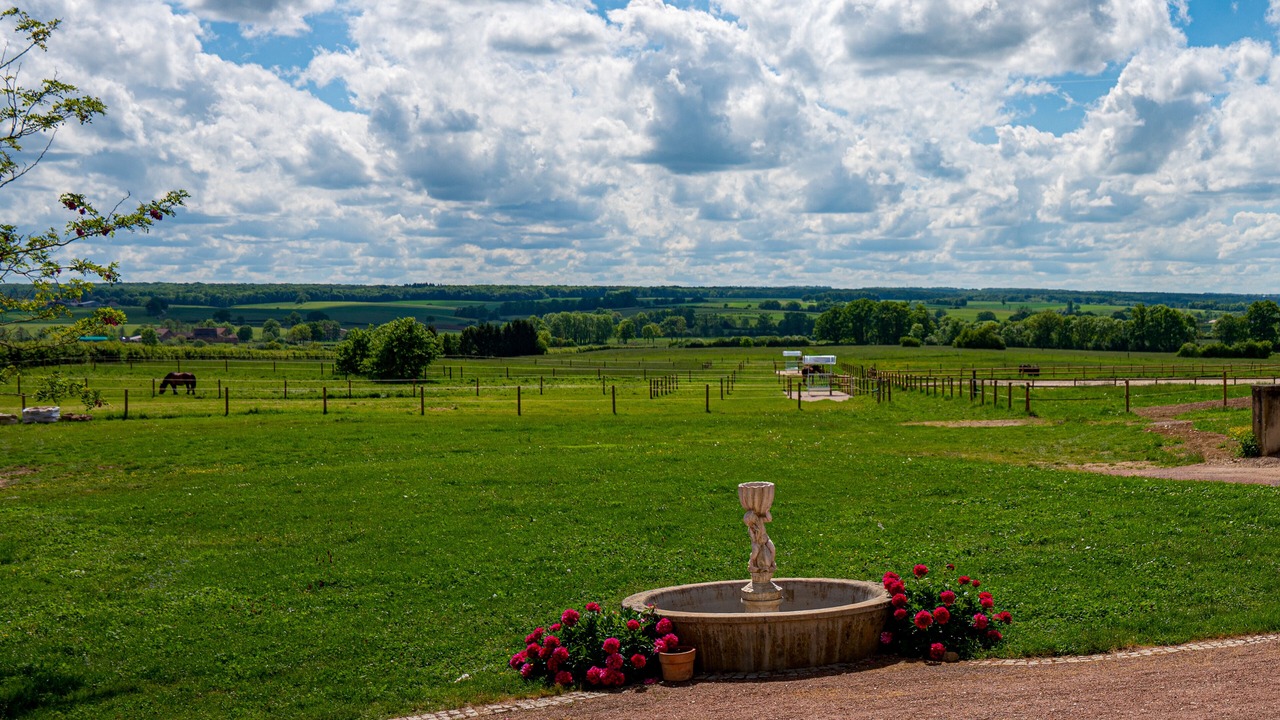 Photo of Patio Balcony in Souhey