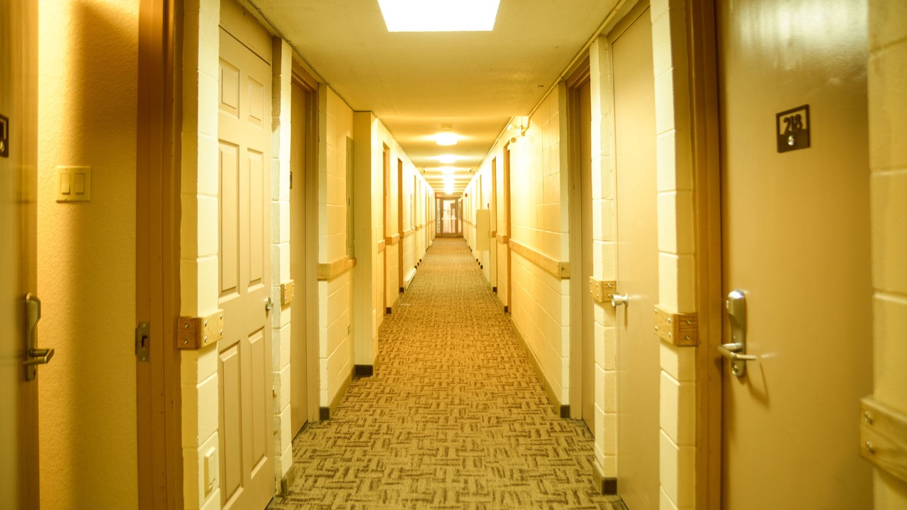 Photo of Others in Morden