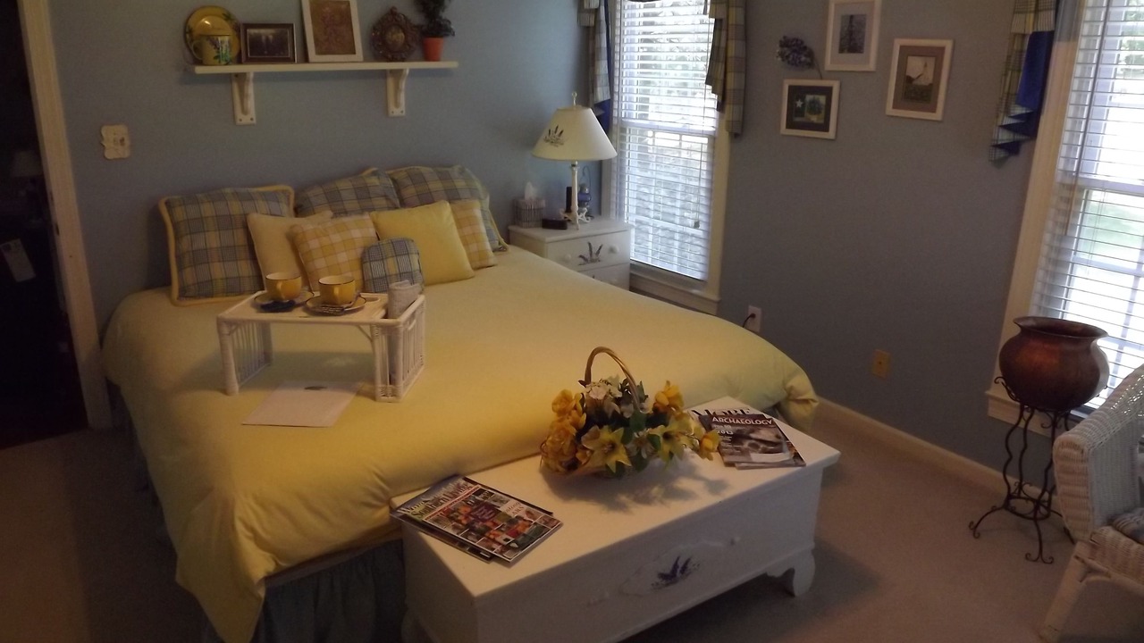Photo of Bedroom in Apex