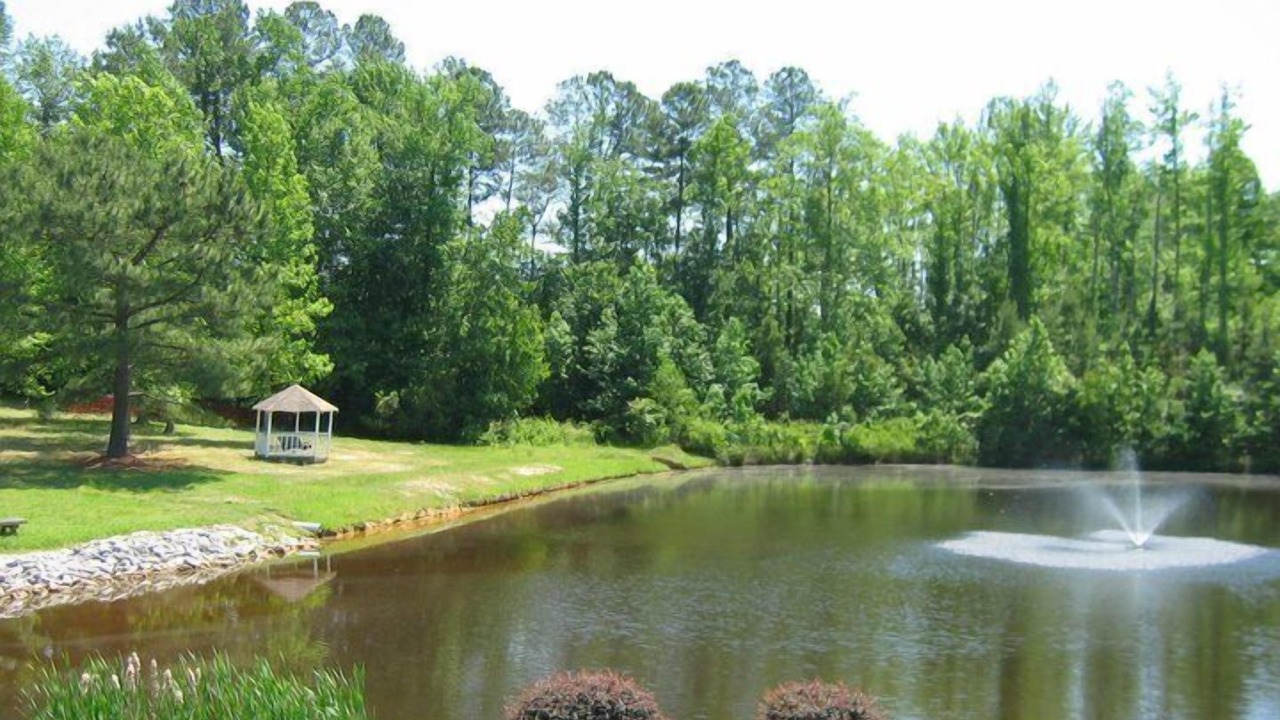 Photo of Outdoor in Apex