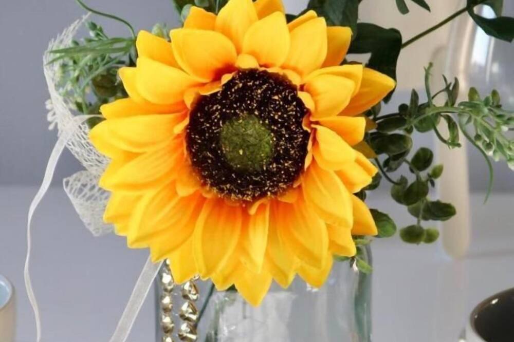 Photo of Others in Skelmersdale