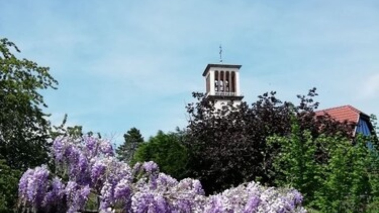 Photo of Others in La Wantzenau