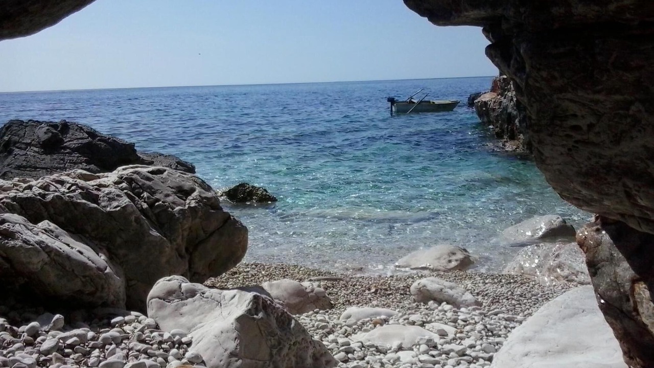 Photo of Others in Luka