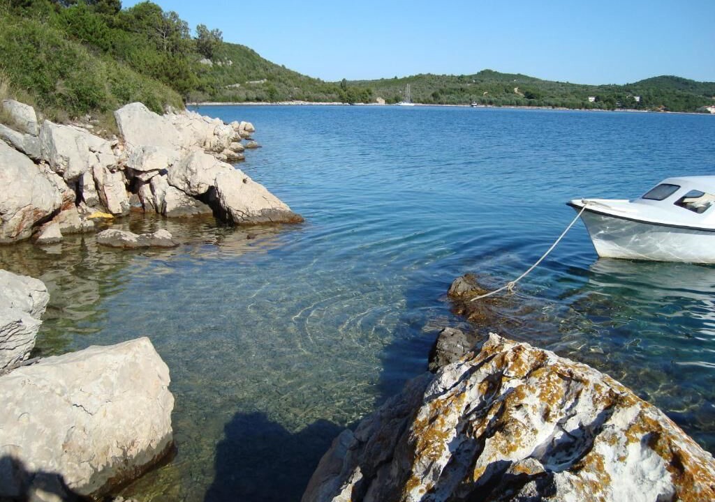 Photo of Others in Luka