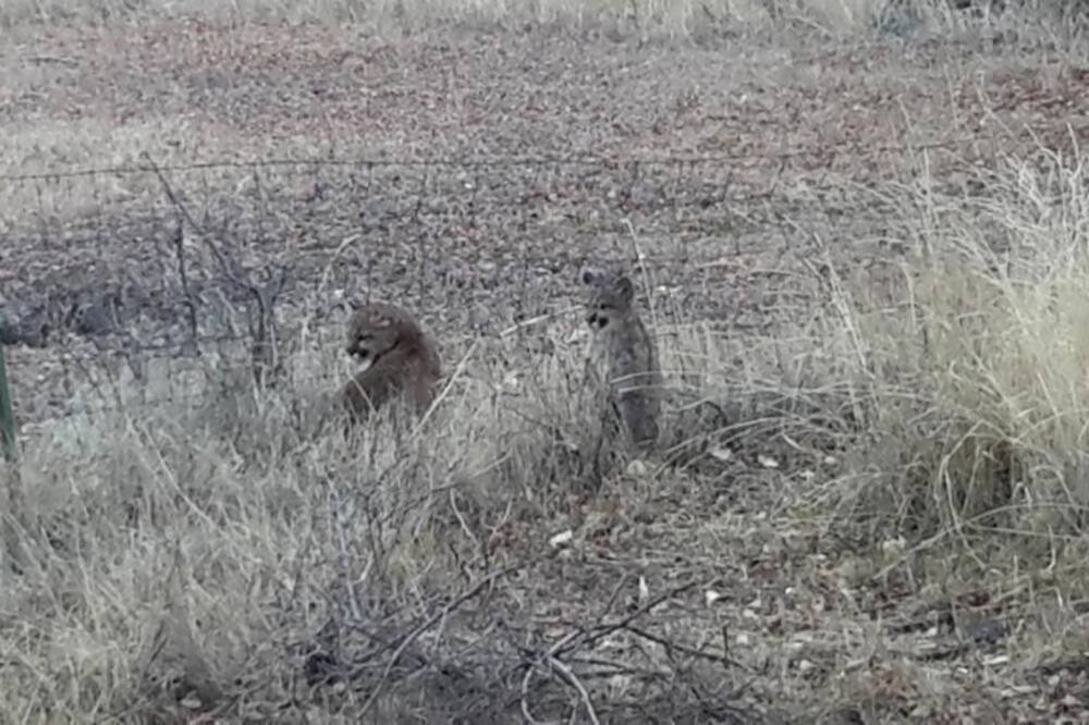 Photo of Outdoor in Cedaredge