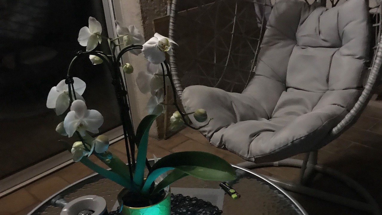 Photo of Others in Auribeau-sur-Siagne