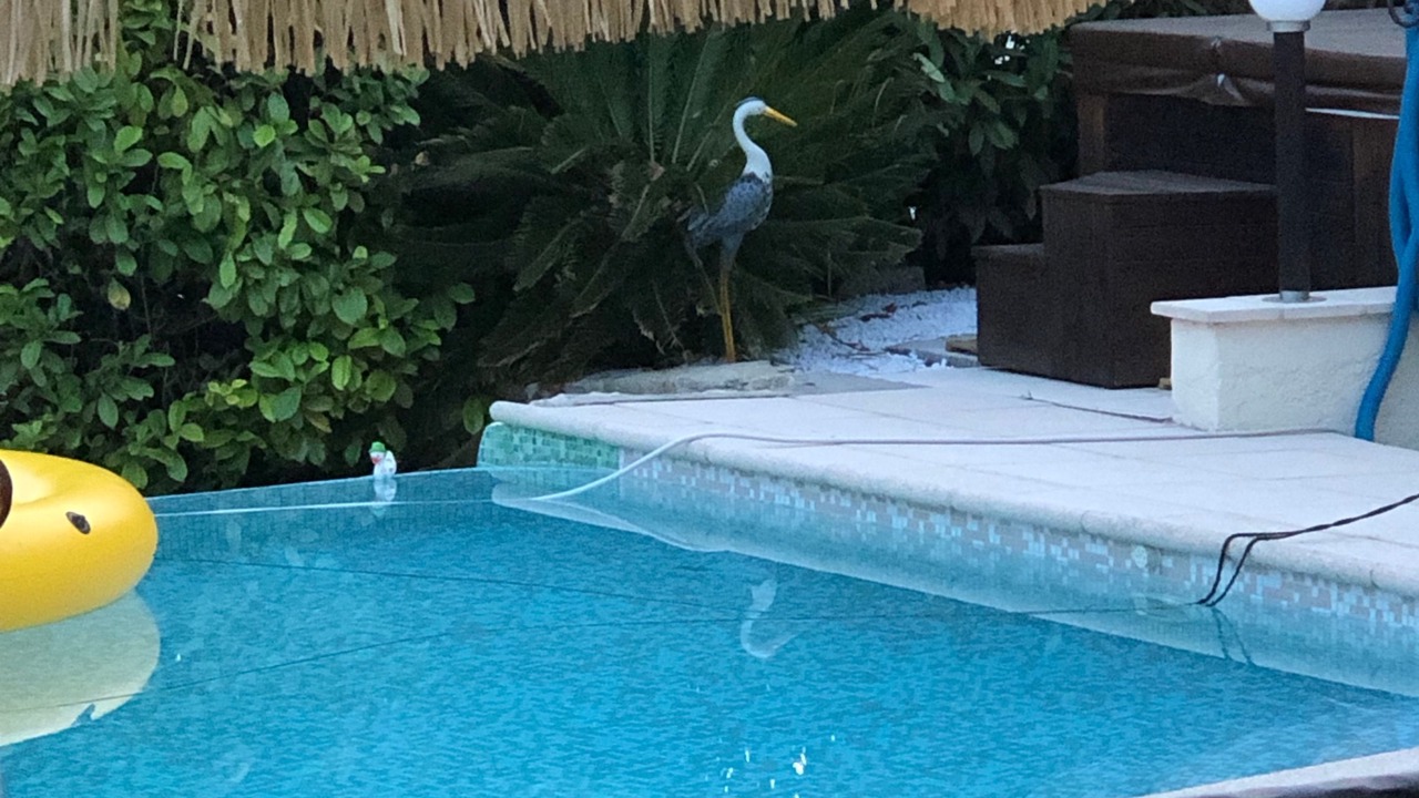 Photo of Outdoor in Auribeau-sur-Siagne