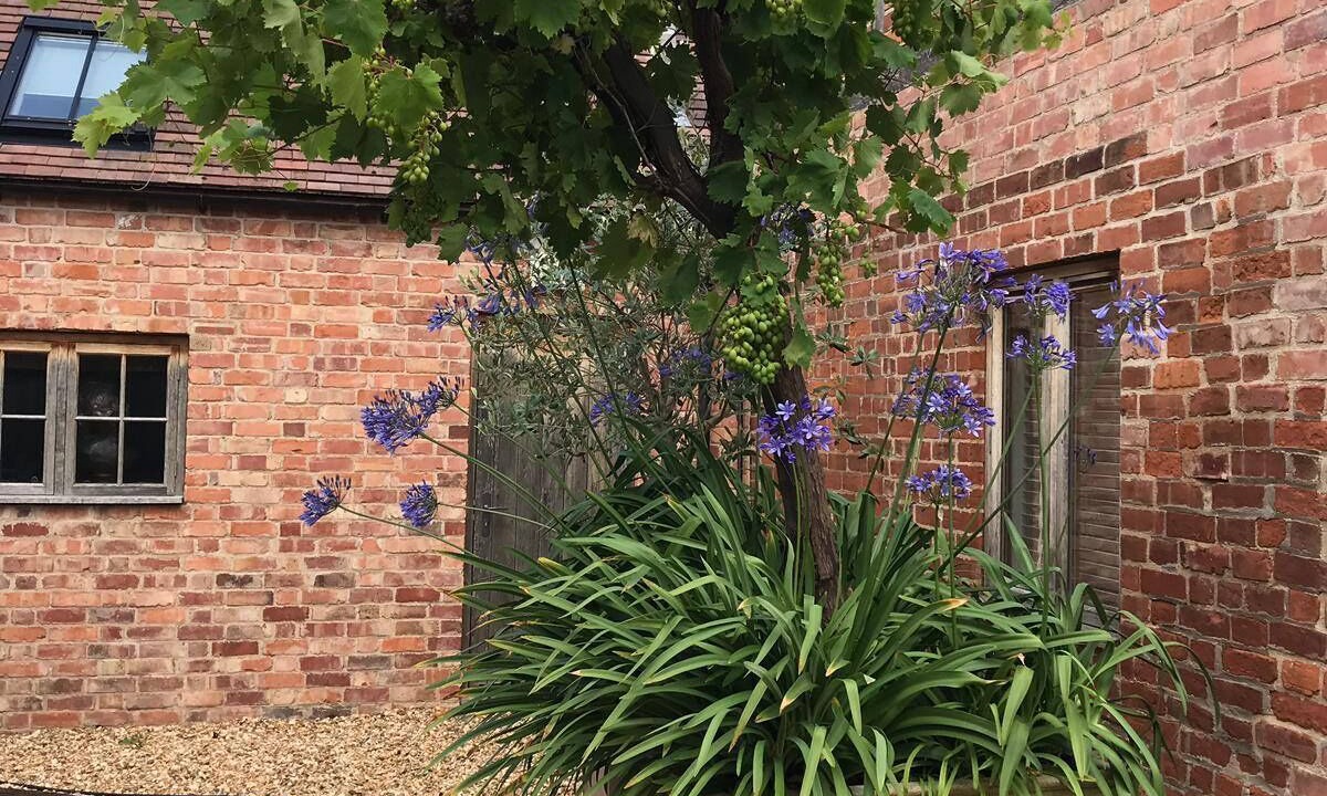 Photo of Outdoor in Eckington