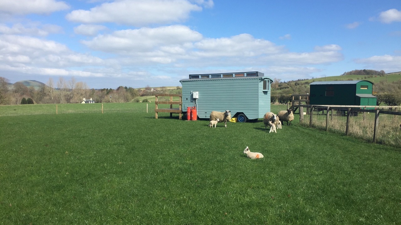 Photo of Others in Hawick