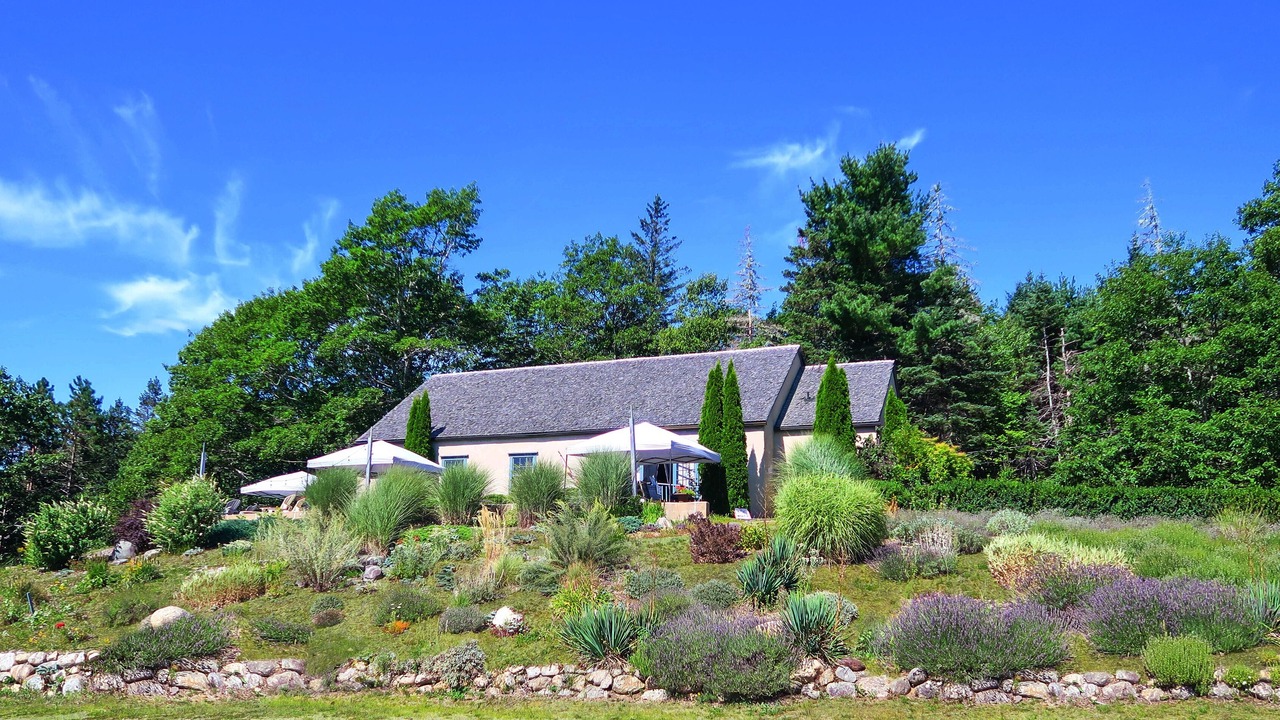 Photo of Others in Martins River