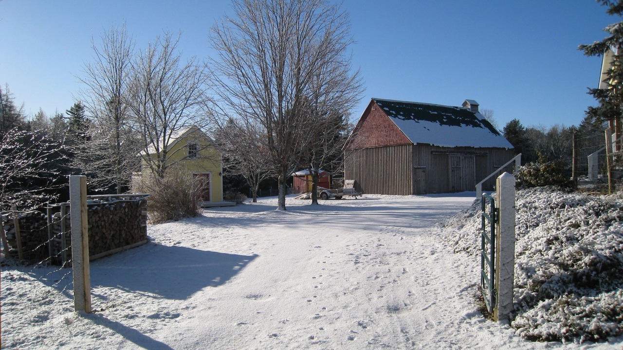 Photo of Outdoor in Martins River