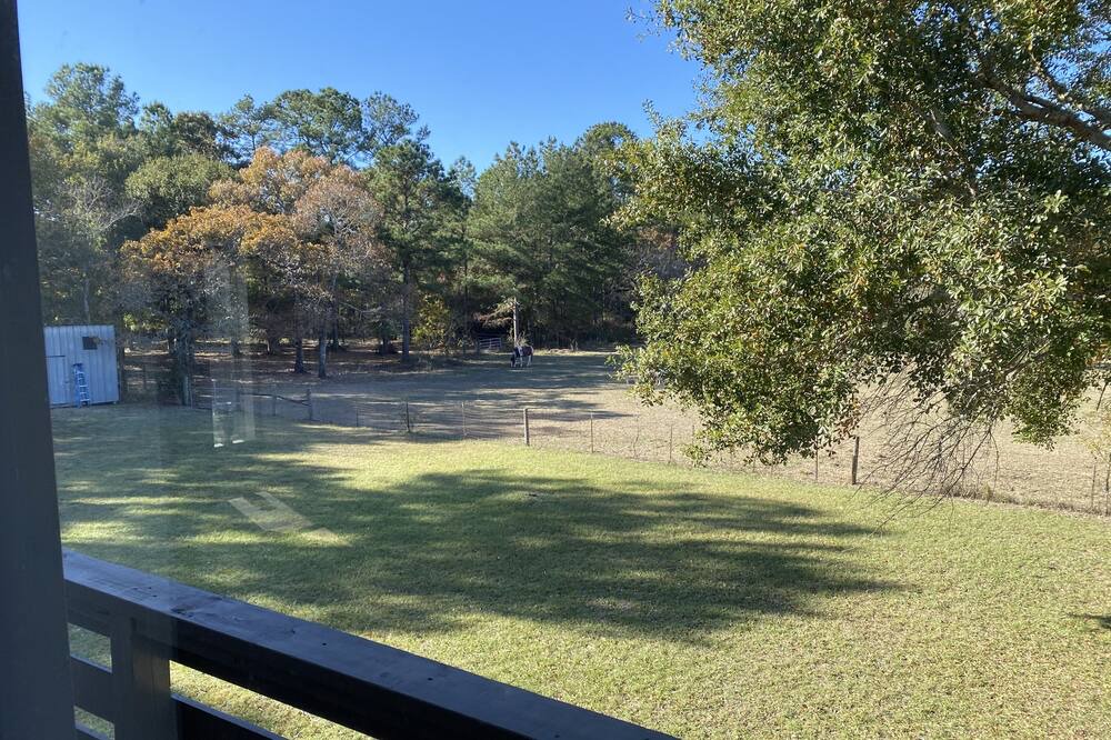 Photo of Patio Balcony in Magnolia