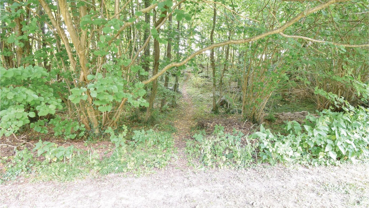 Photo of Outdoor in Haarby