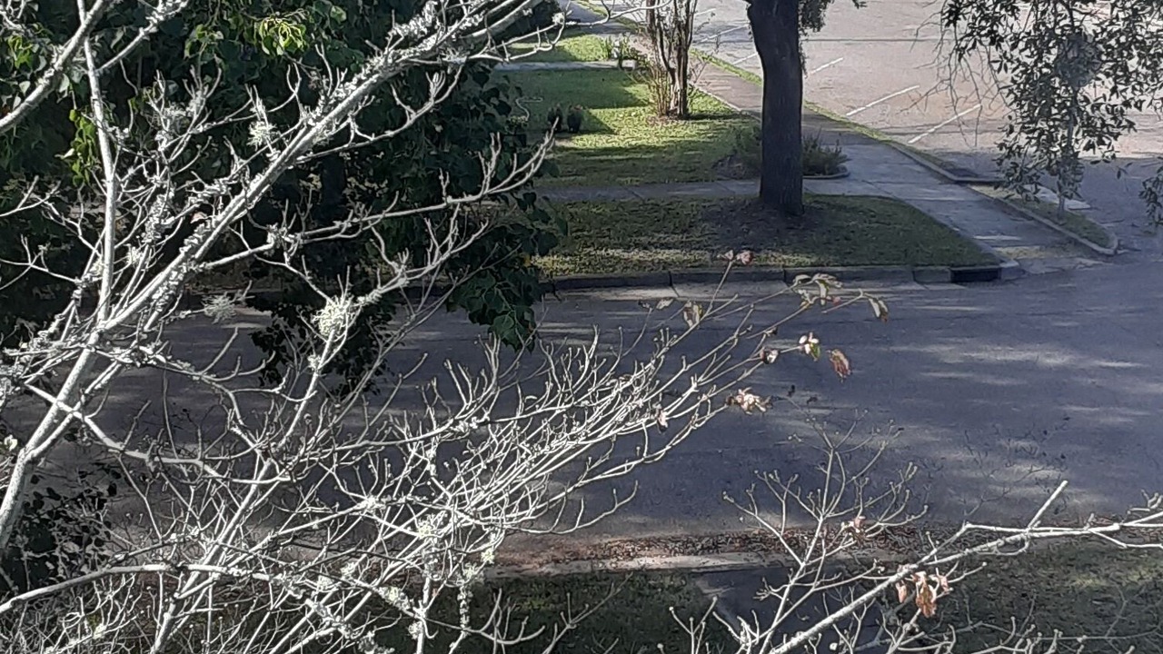 Photo of Outdoor in Georgetown