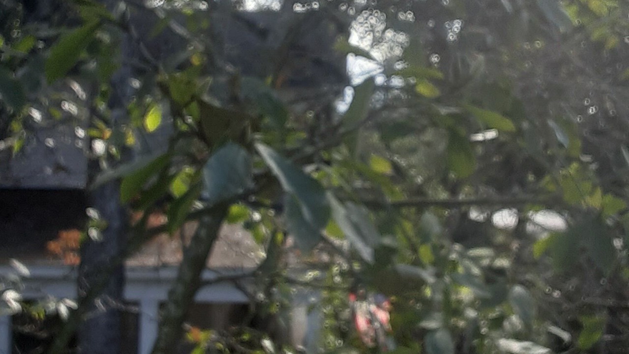 Photo of Bedroom in Georgetown