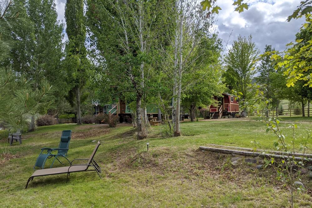 Photo of Others in Salmon