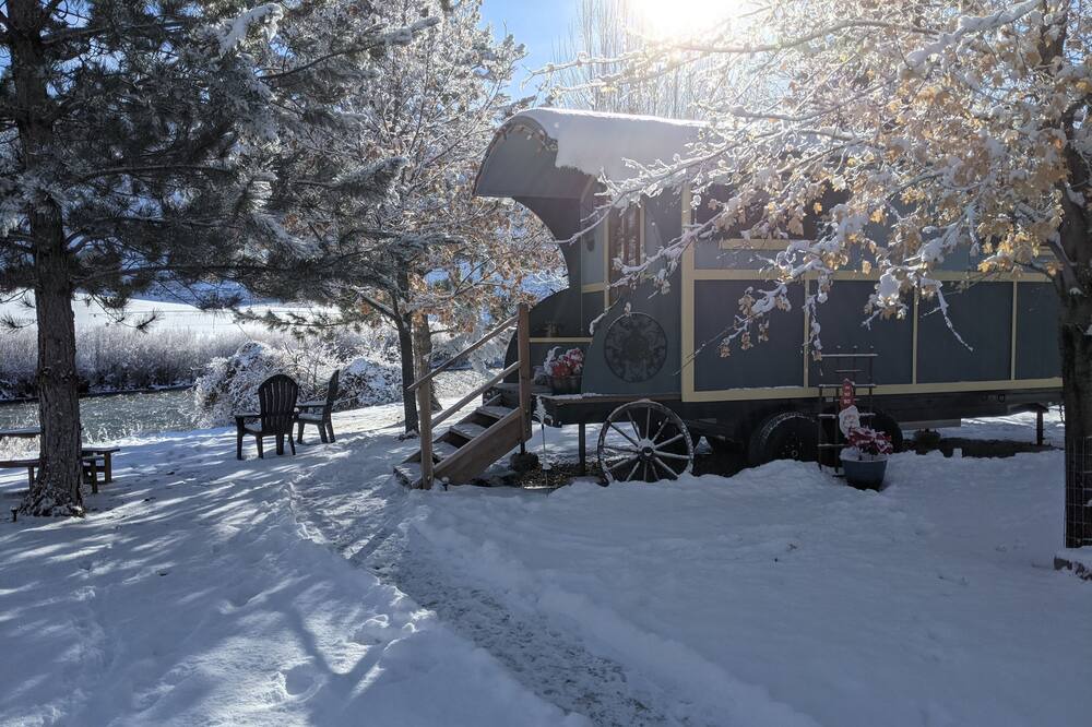 Photo of Others in Salmon