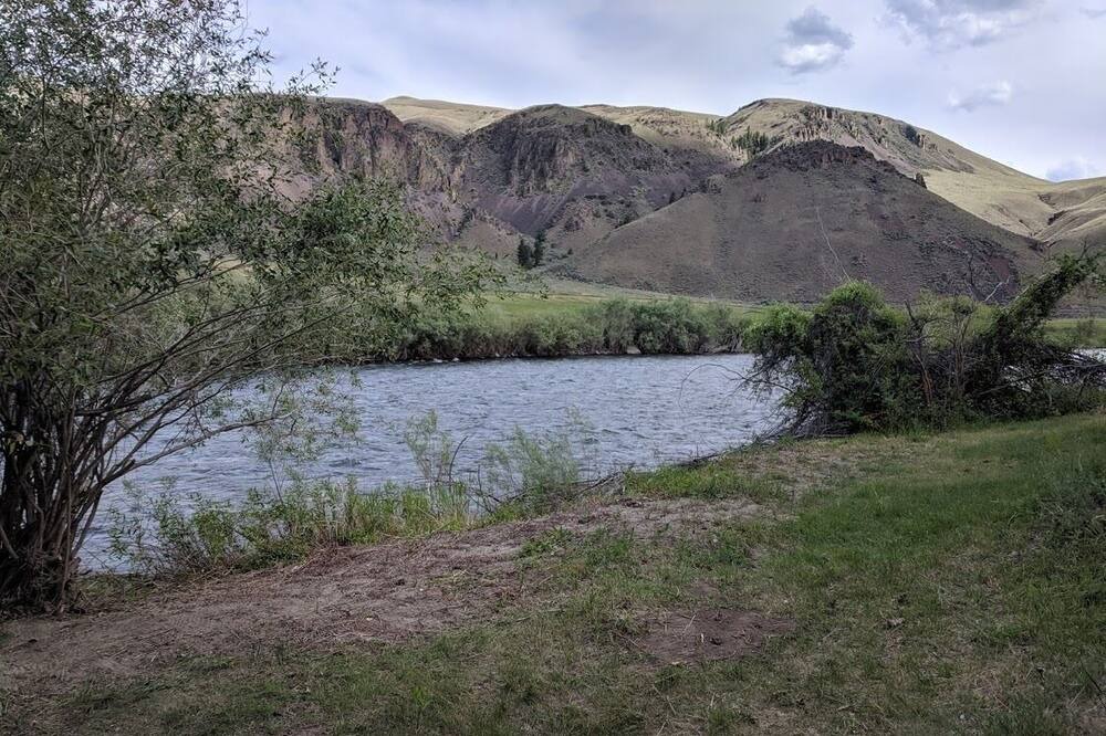 Photo of Others in Salmon