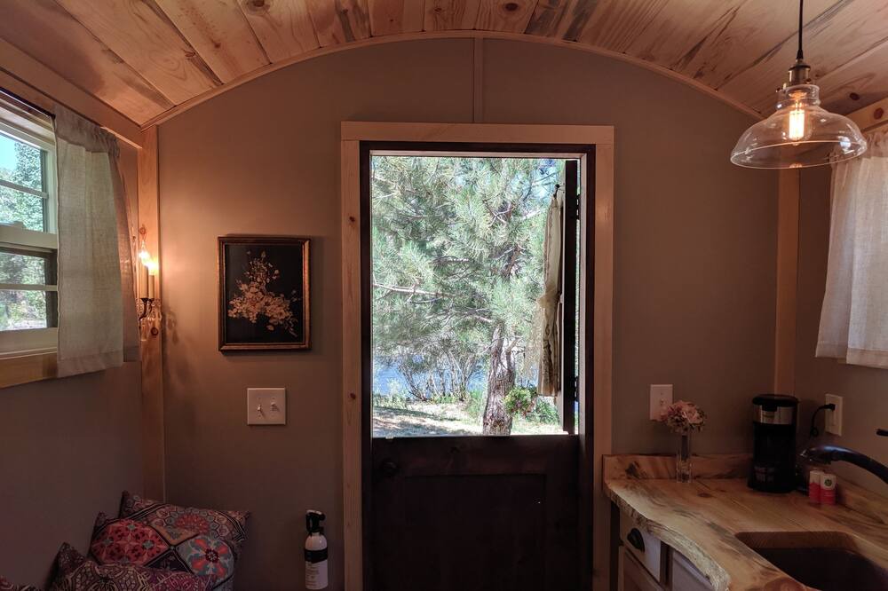 Photo of Others in Salmon