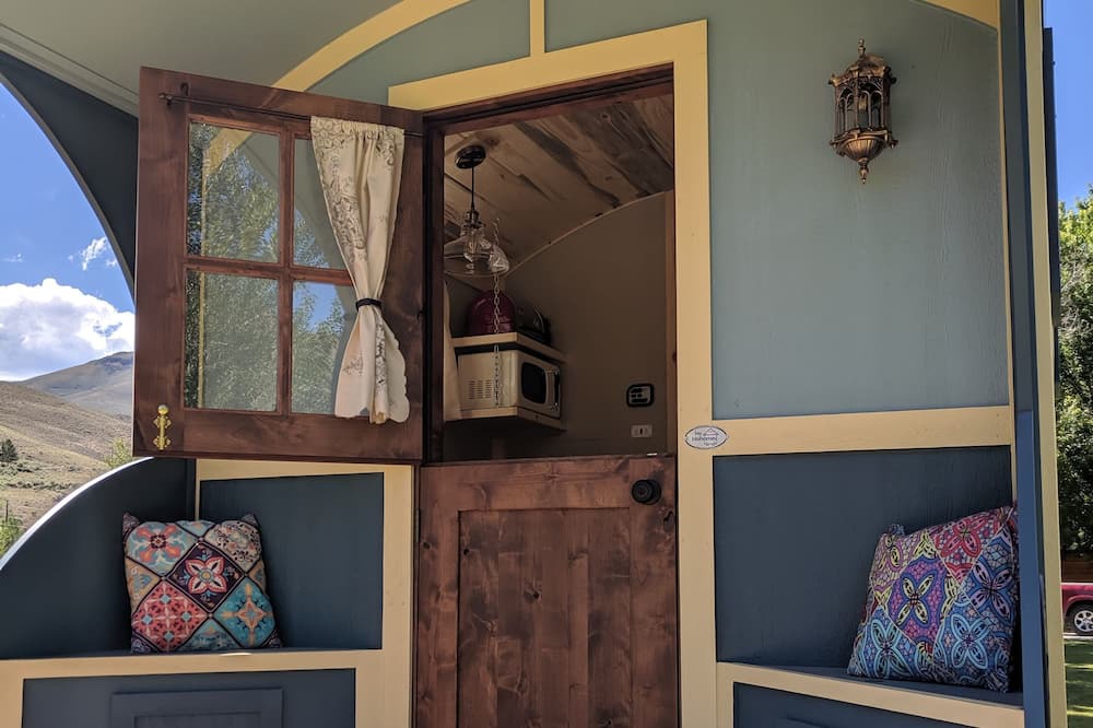 Photo of Others in Salmon