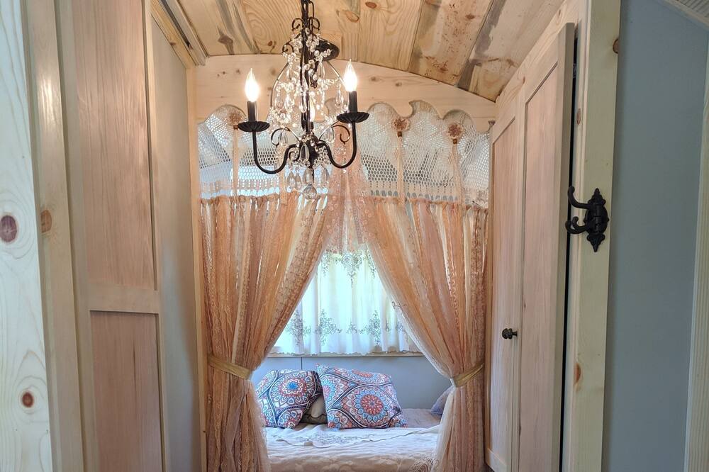 Photo of Others in Salmon