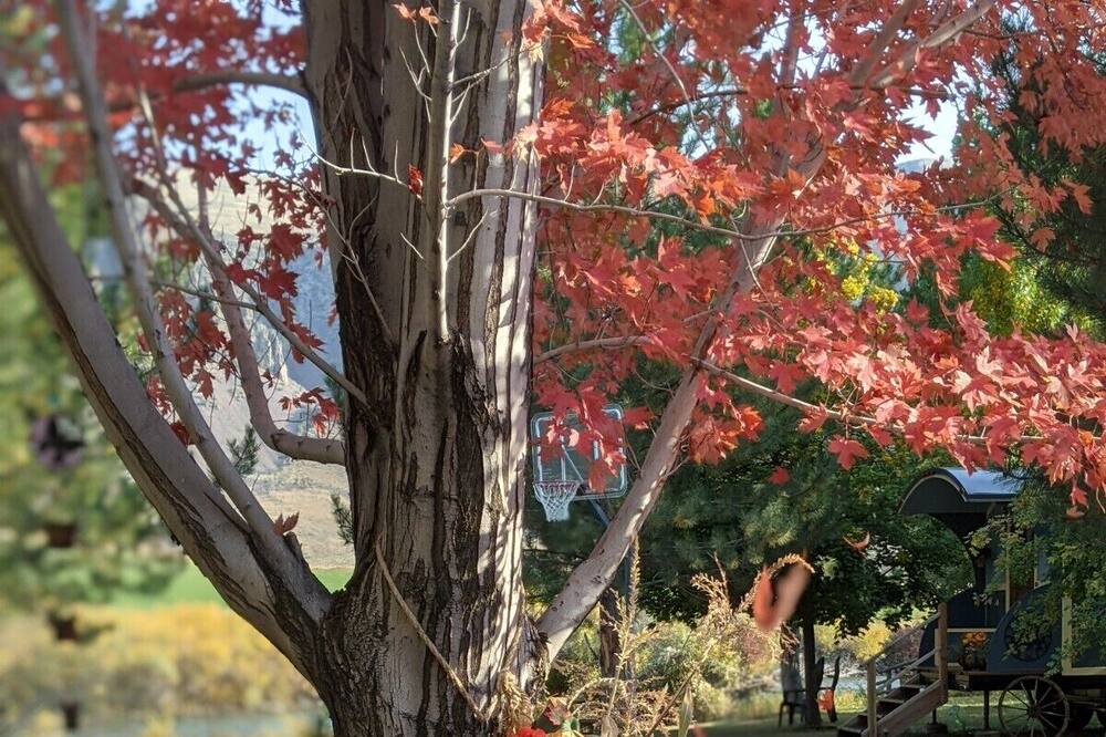 Photo of Others in Salmon