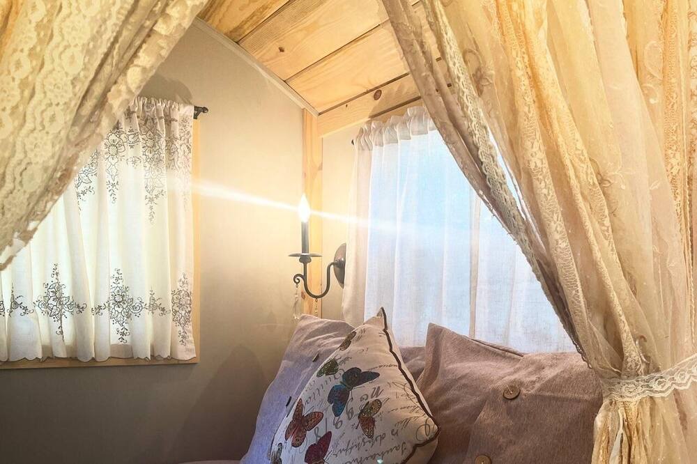 Photo of Outdoor in Salmon