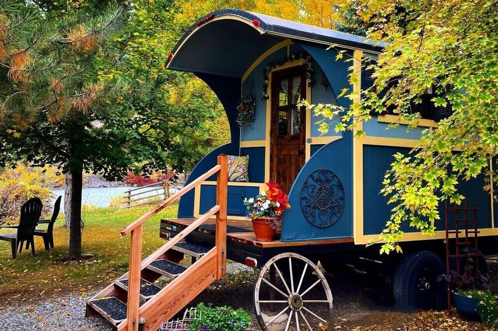 Photo of Others in Salmon