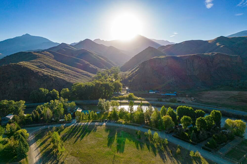 Photo of Others in Salmon