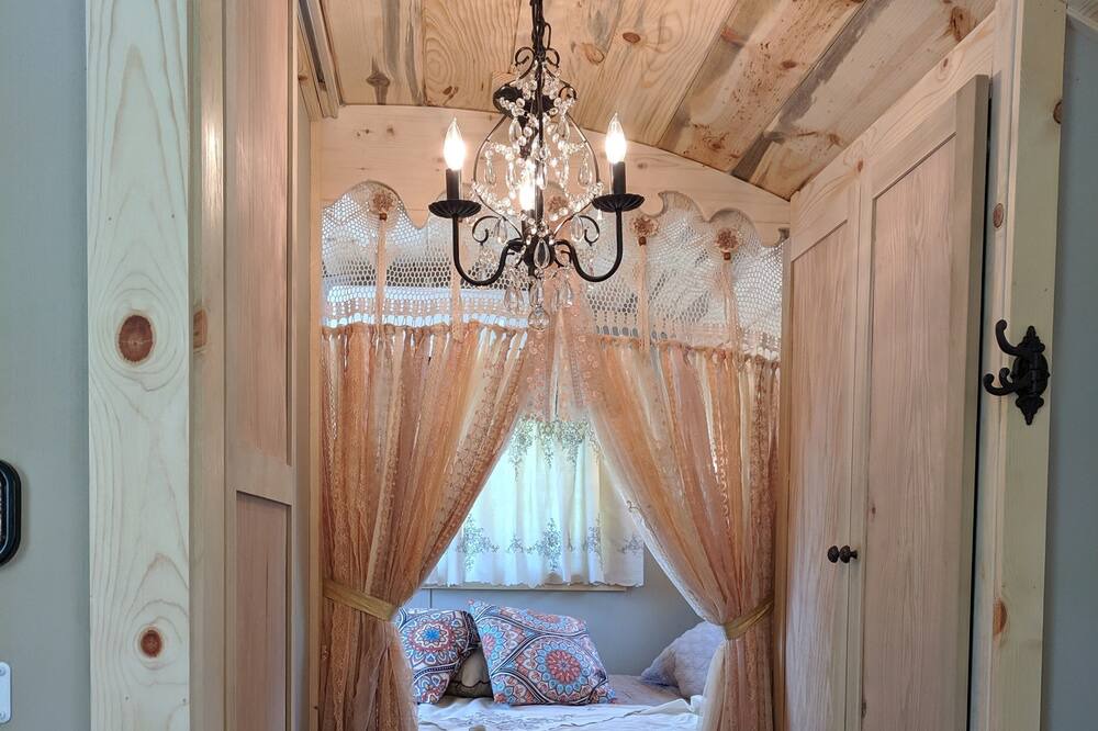 Photo of Others in Salmon