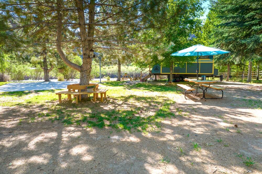 Photo of Others in Salmon