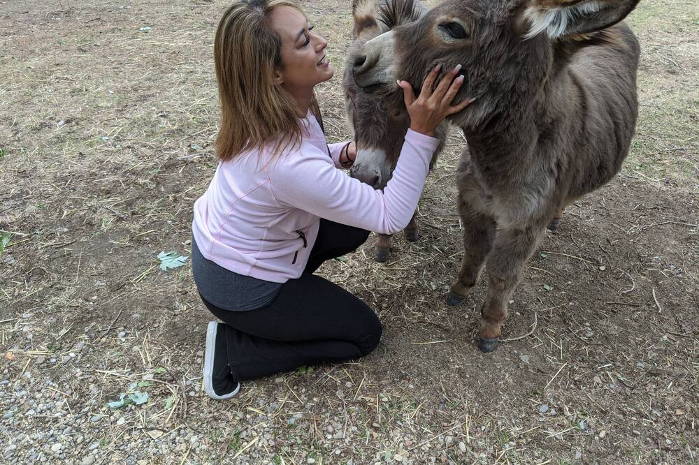 Photo of Others in Salmon