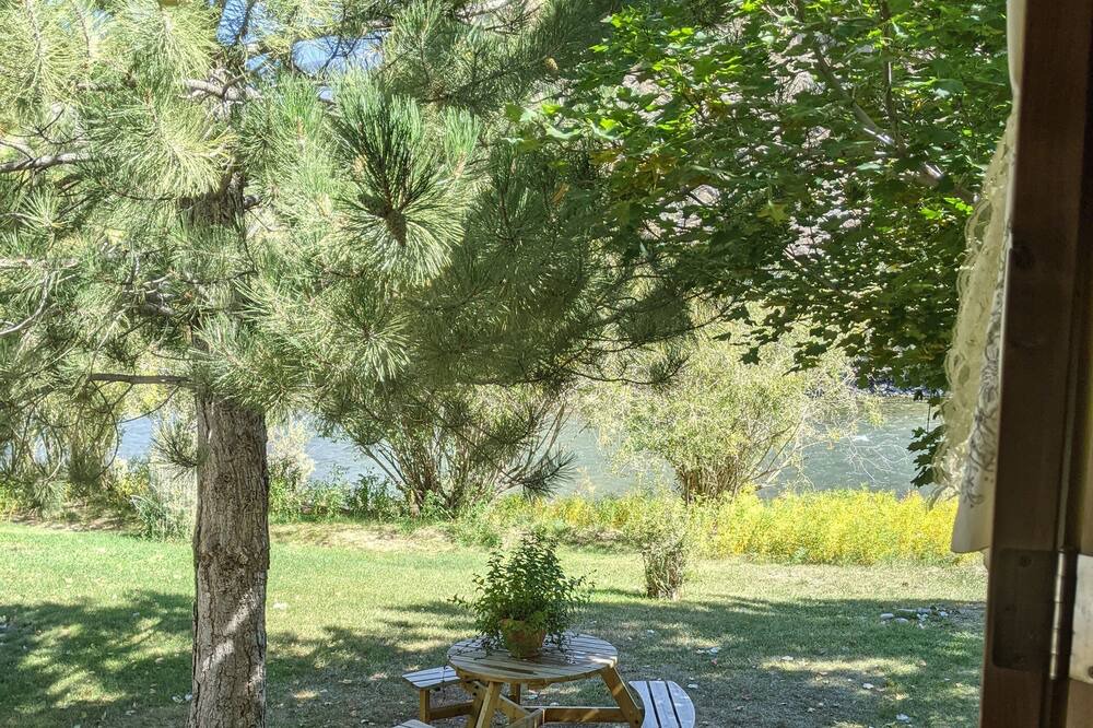 Photo of Others in Salmon