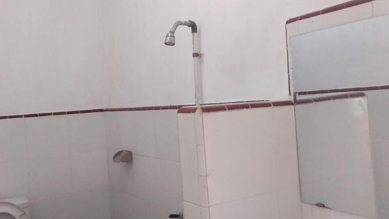 Photo of Others in Rogojampi