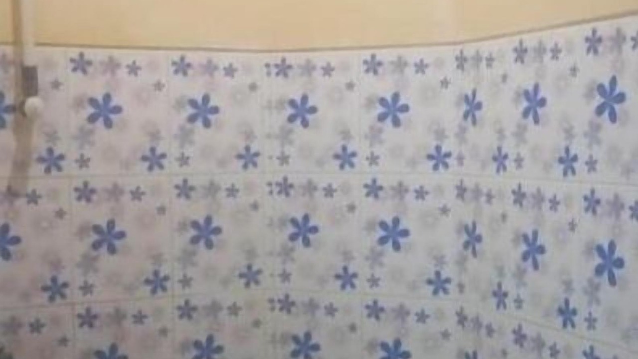 Photo of Others in Rogojampi