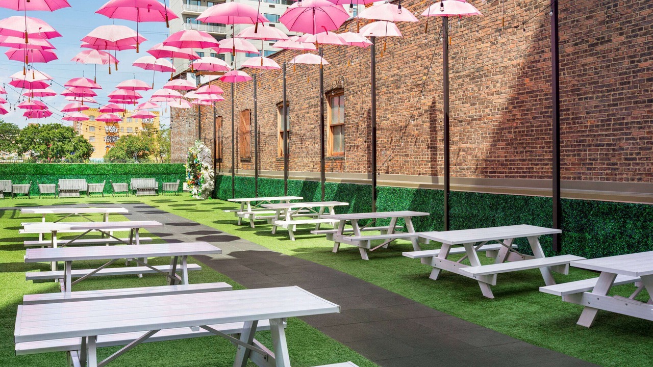 Photo of Others in Mott Haven