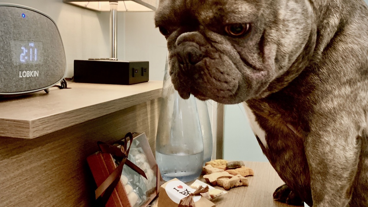 Photo of Bedroom in Mott Haven