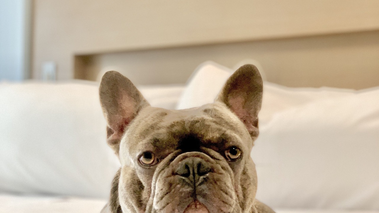 Photo of Bedroom in Mott Haven