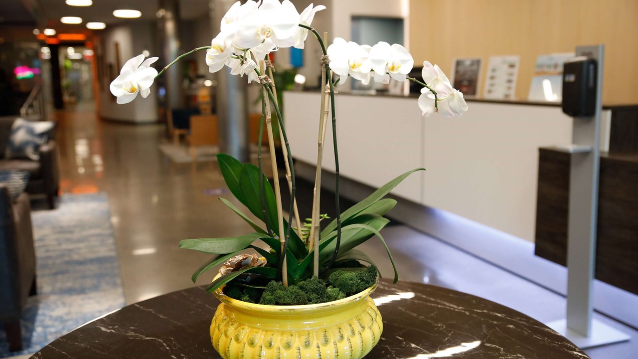 Photo of Others in Mott Haven