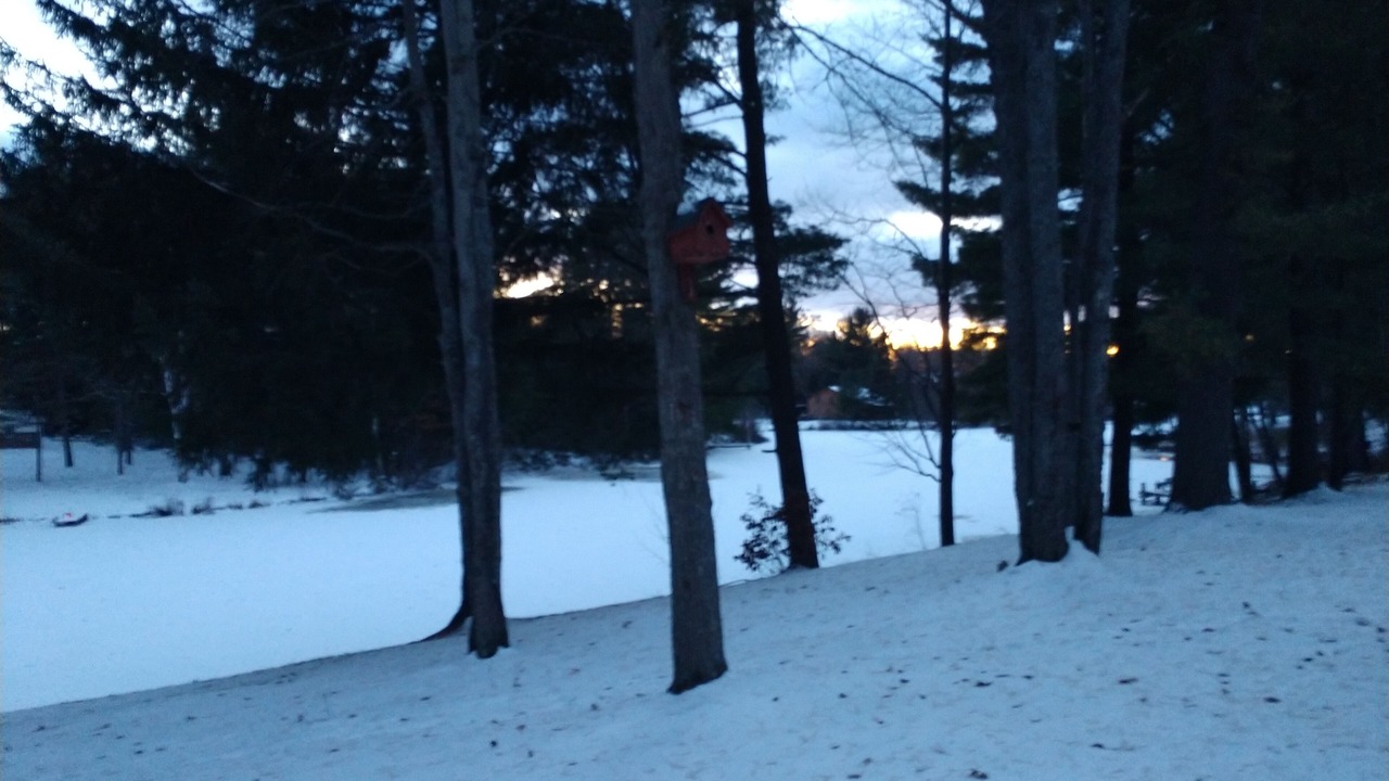 Photo of Others in Prudenville