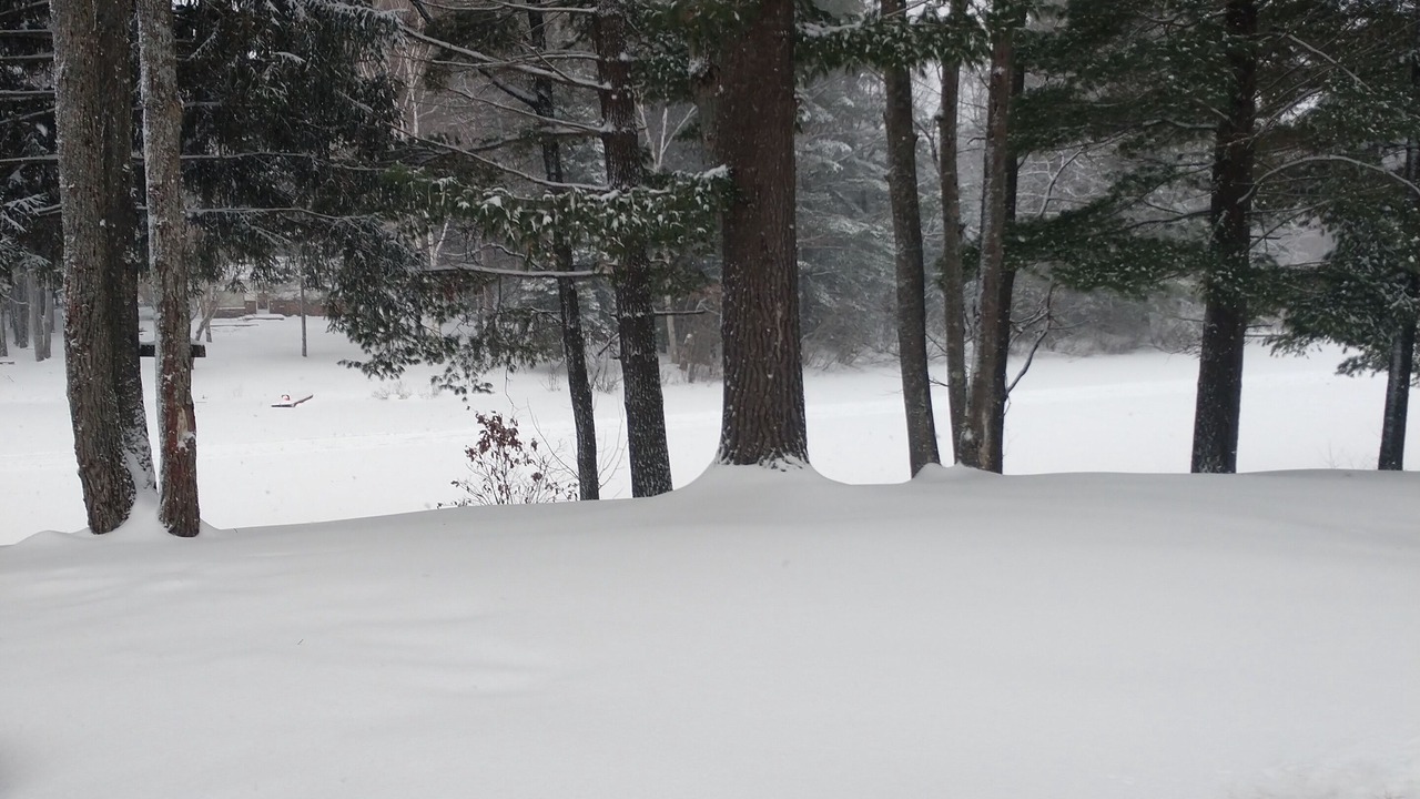 Photo of Others in Prudenville