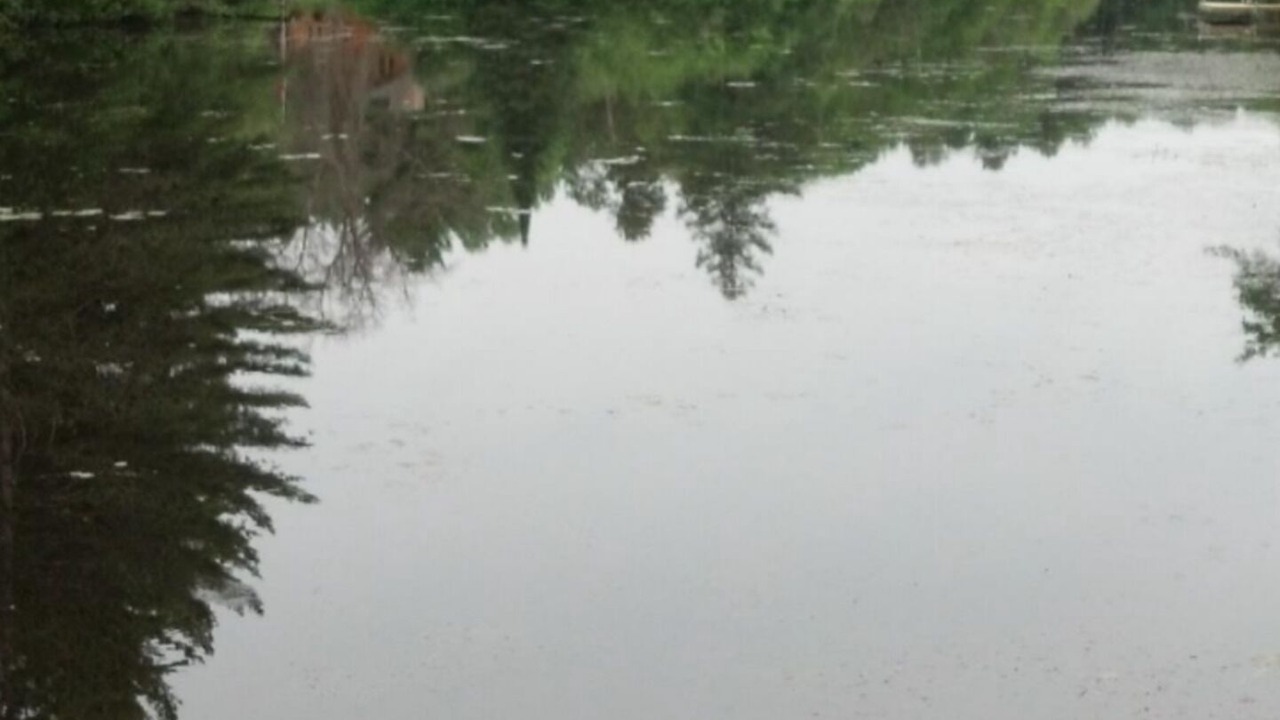 Photo of Others in Prudenville