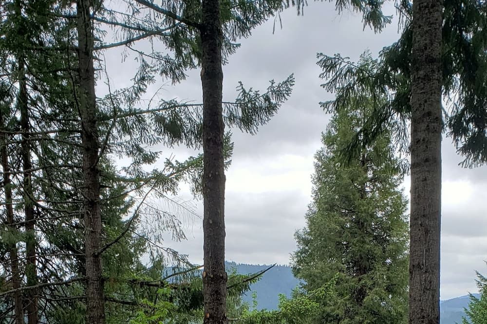 Photo of Others in Oakridge