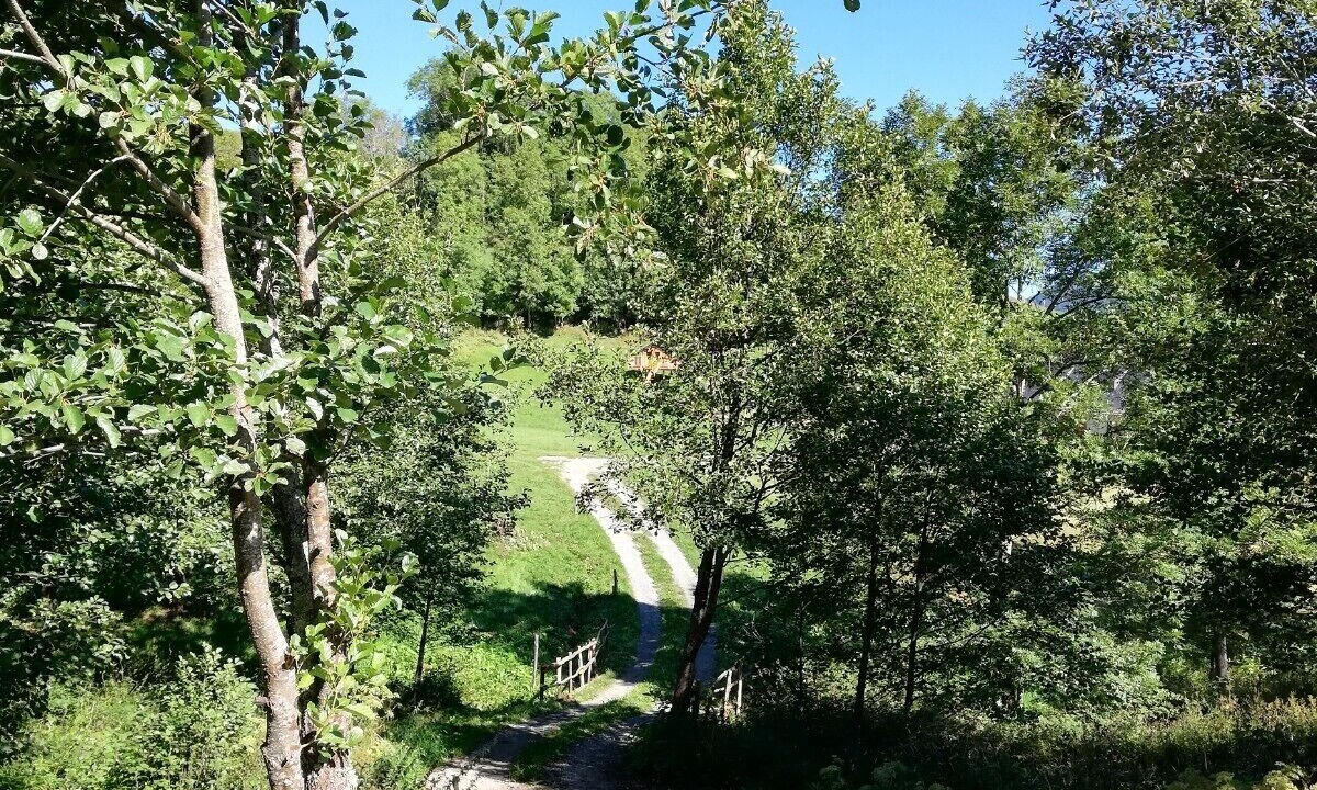 Photo of Outdoor in Campan