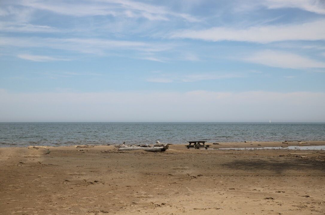 Photo of Others in Sea Breeze